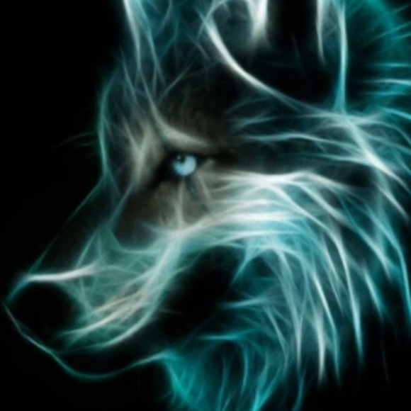 Meet your Posher, Gabriel - Picture 1 of 1